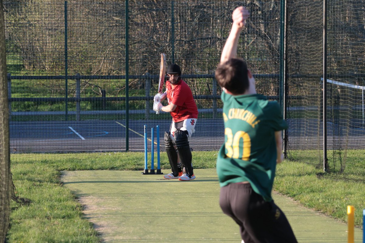 Broadstone Cricket tweet media