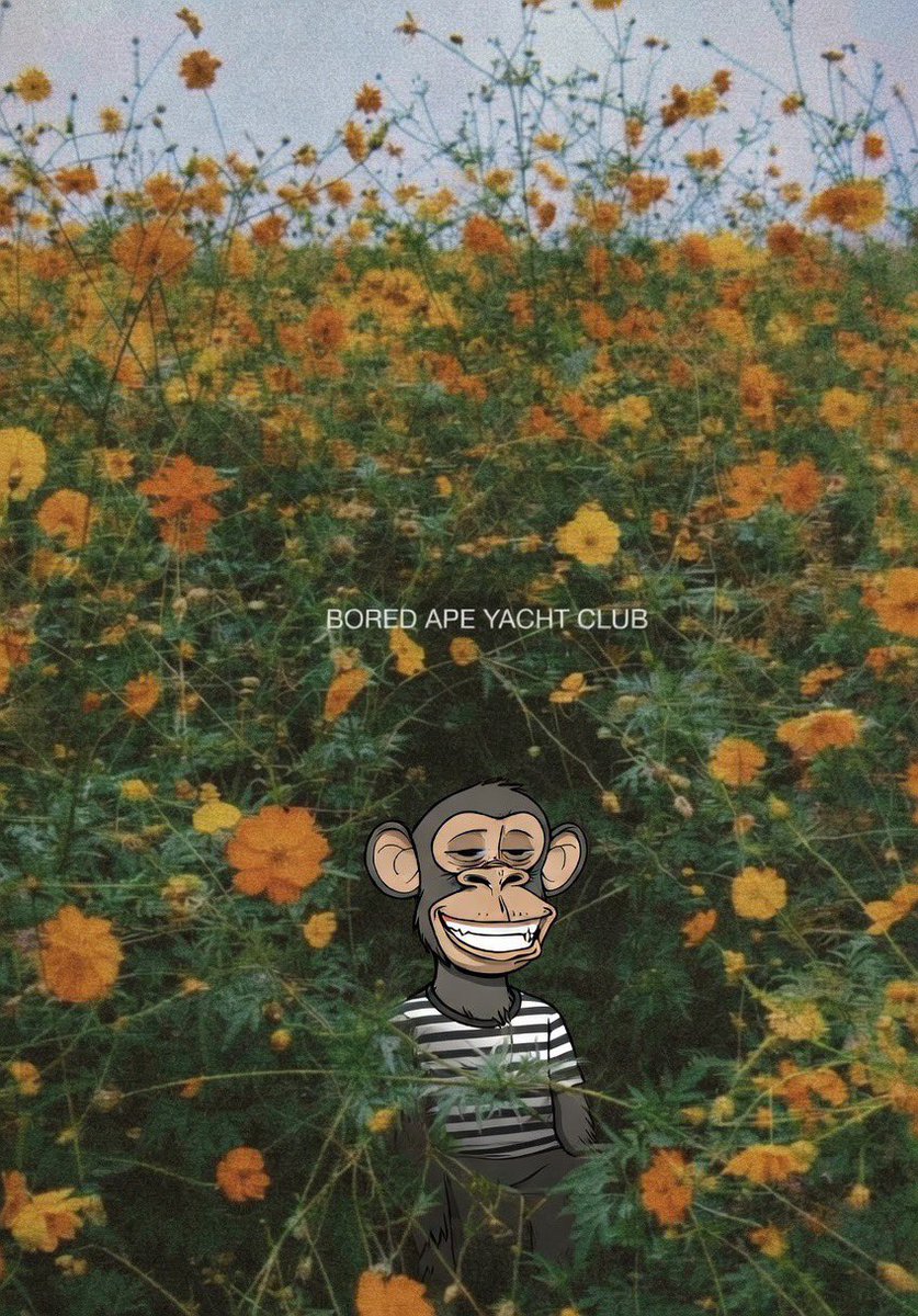 cryptorockstar tweet media