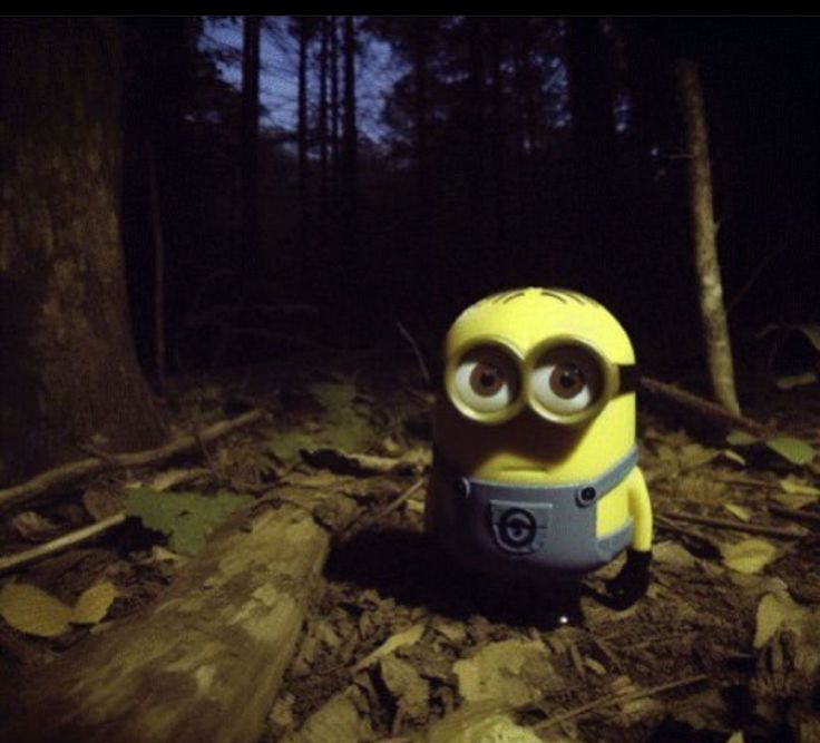 Chace Tavelli tweet media