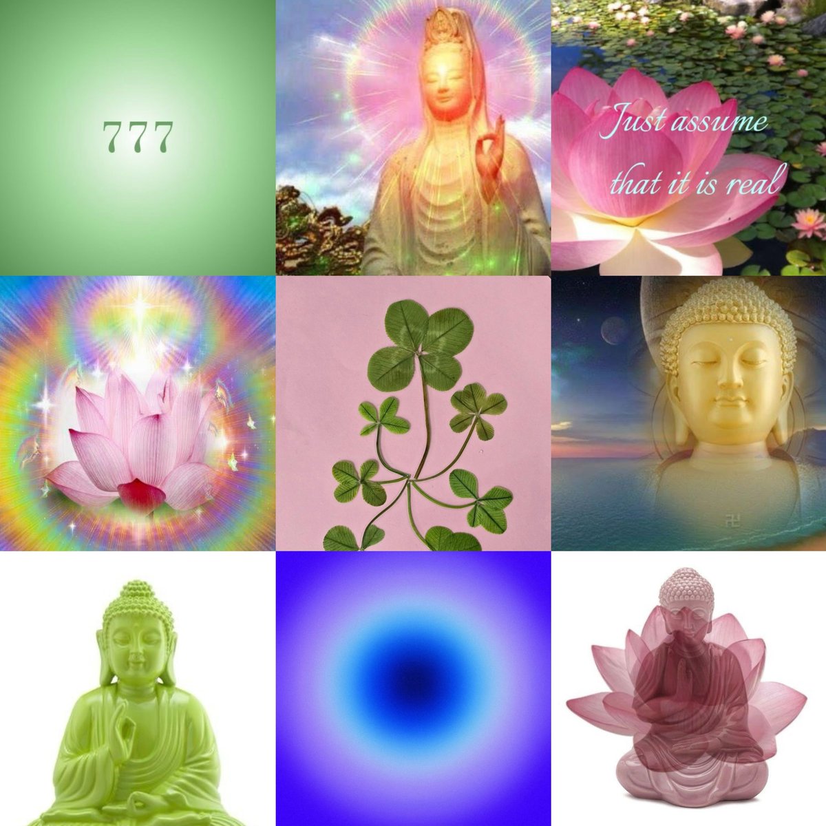 onigirihoon! | ENHYPEN IS 7 tweet media