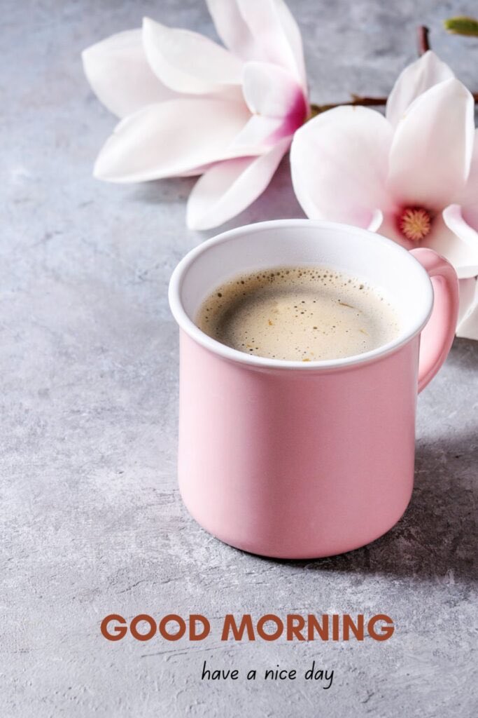 CajunAsian tweet media