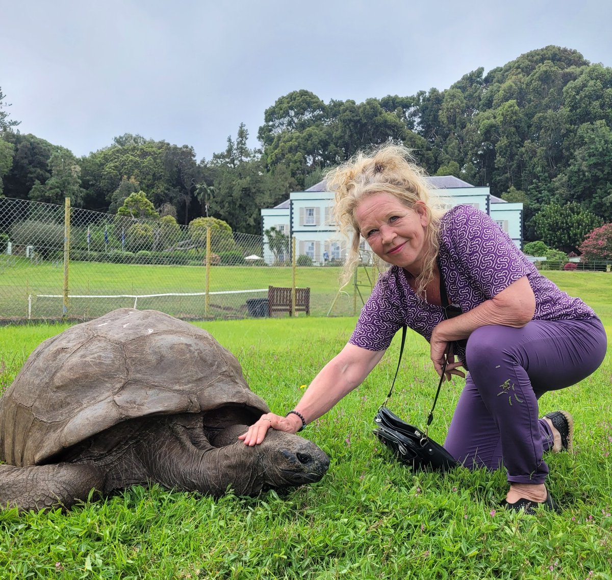 🌱LoezzB 🐾 tweet media