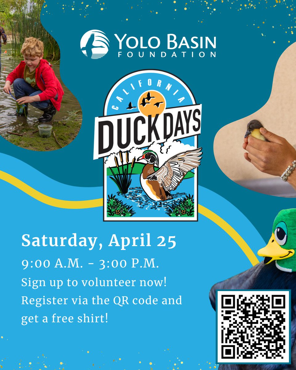 California Duck Days is Yolo Basin Foundation's largest wetland festival of the year! Happening on Saturday, April 25 from 9:00 a.m. - 3:00 p.m. We hope to see you there! #DuckDays #YBF