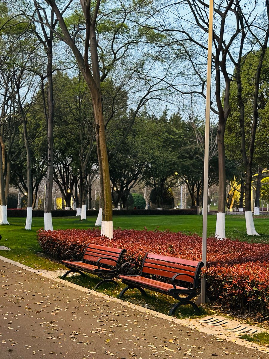 Dharmendra Dharmendar yadav tweet media