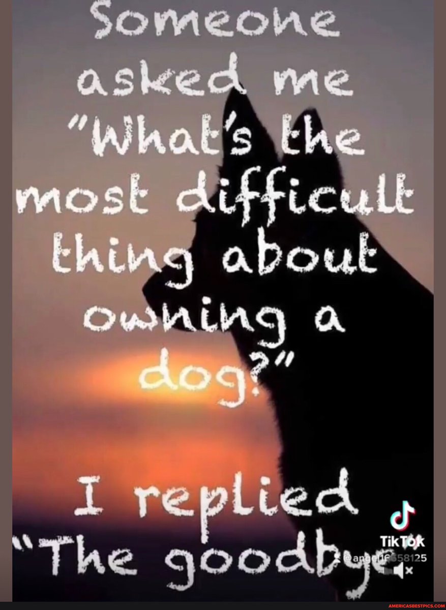 Time4SumAxShun tweet media