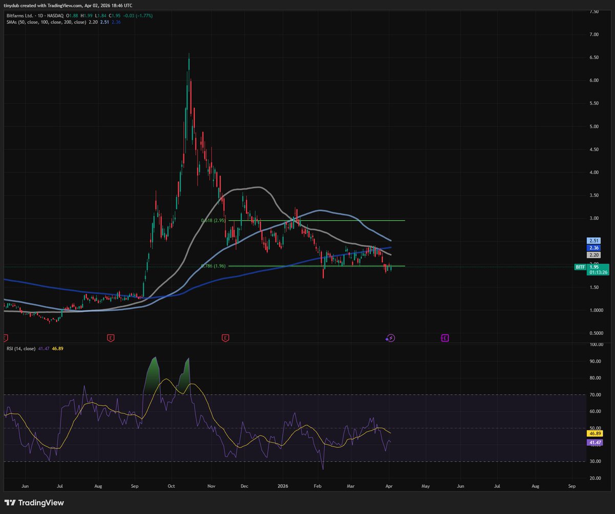 willy investing tweet media