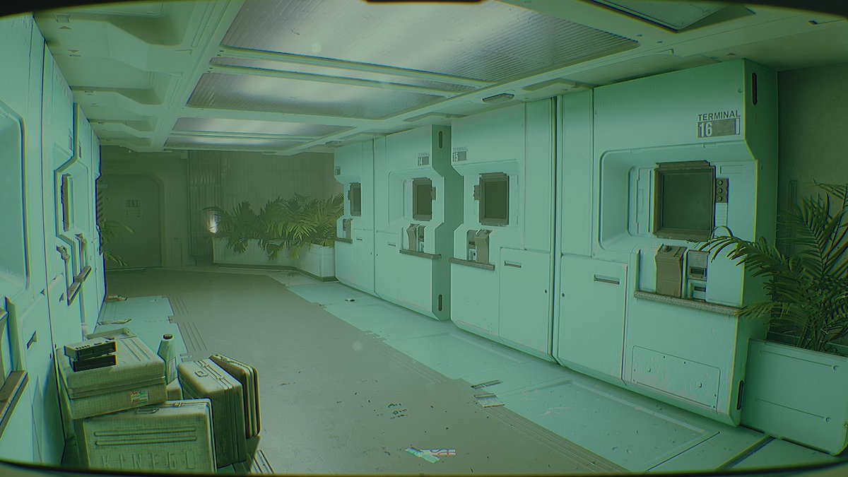 ktsf✨🪴 tweet media