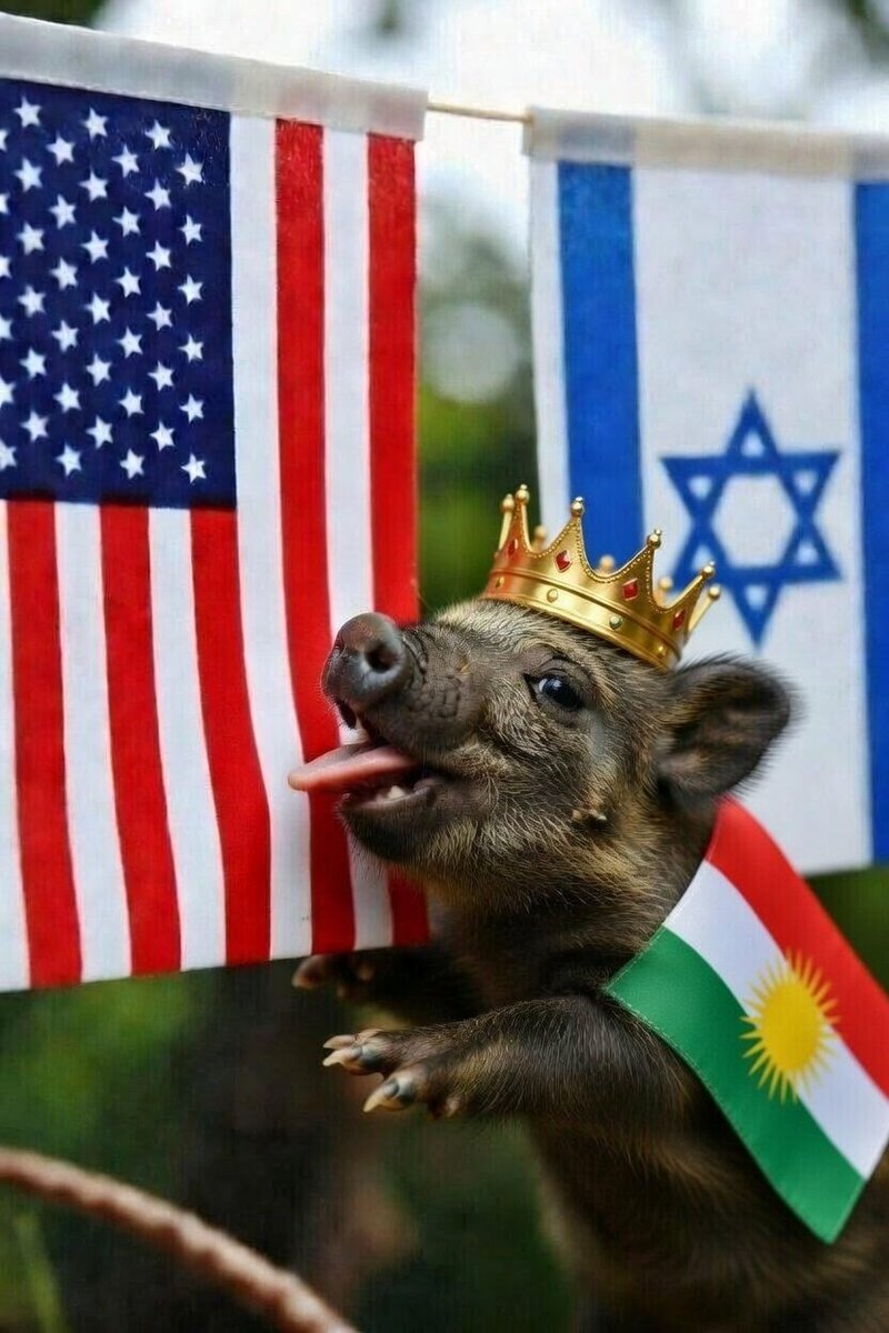 önce vatan tweet media