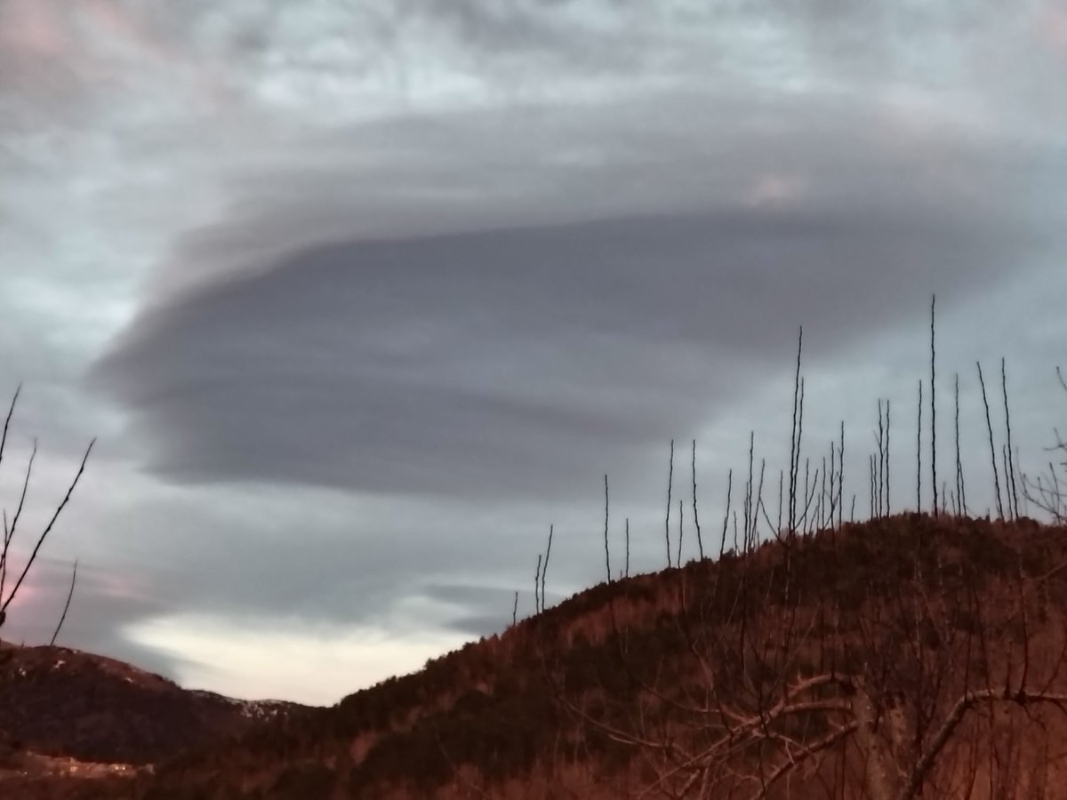 MeteoRibes tweet media