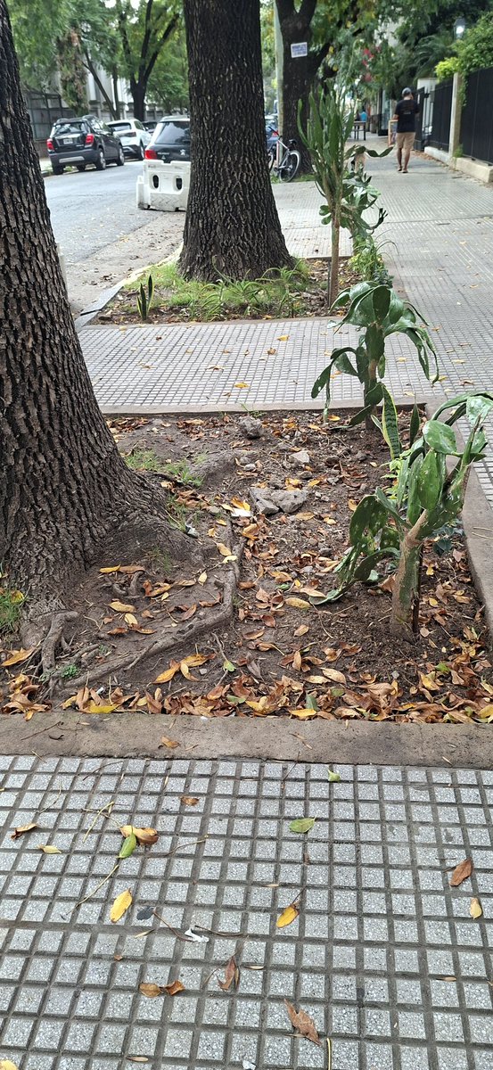 Gabi bike tweet media