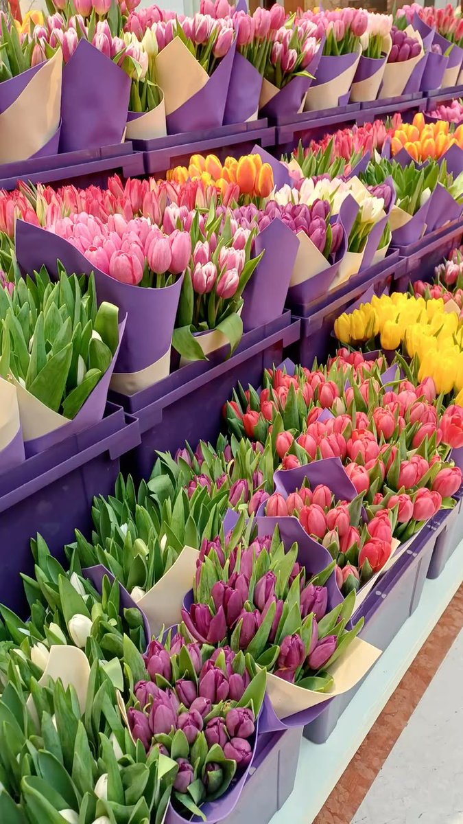 Flowerland tweet media