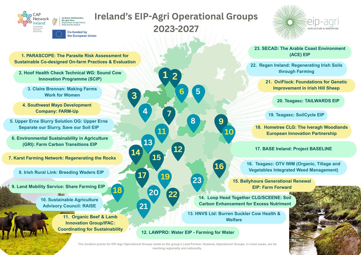 CAP Network Ireland tweet media