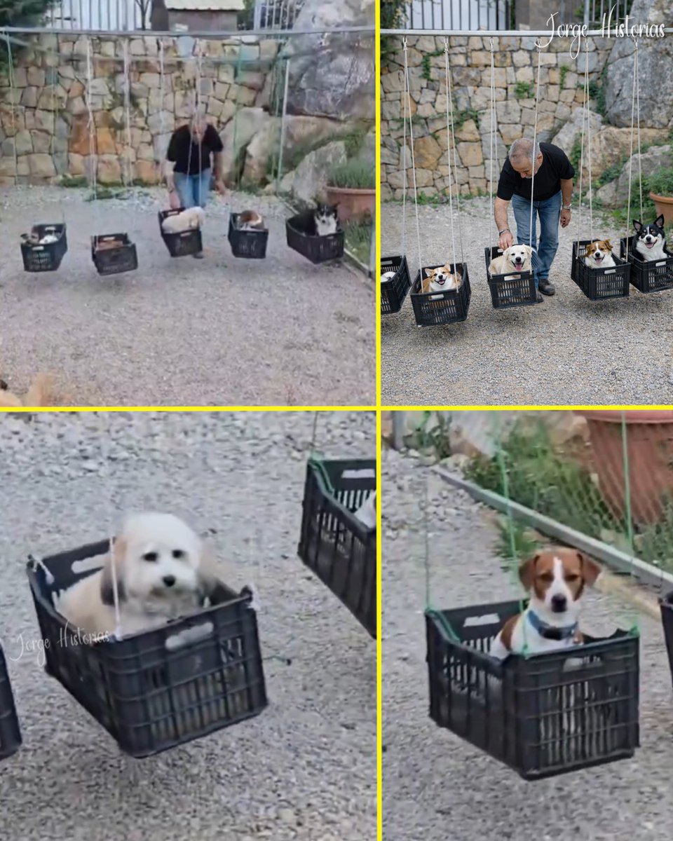 Más Ciencia tweet media