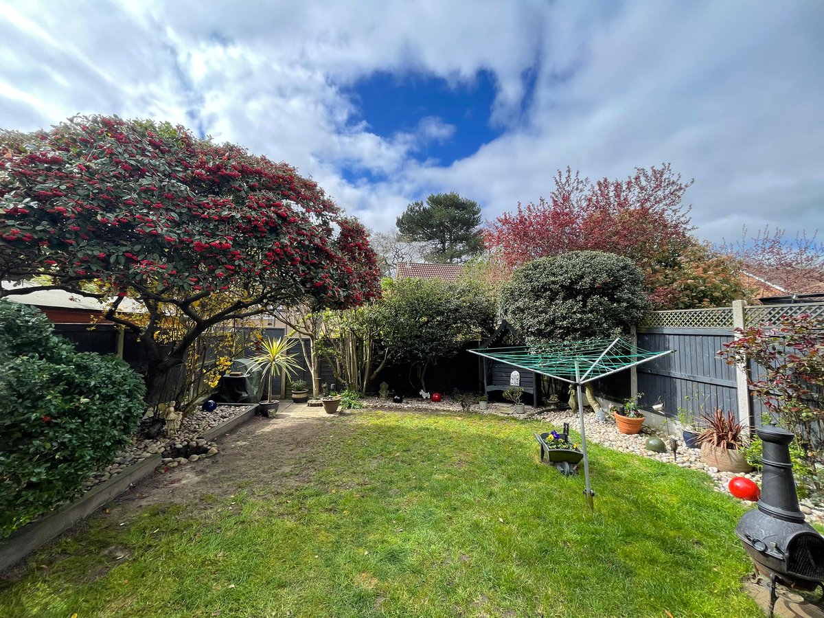 Masons Tree Surgery tweet media