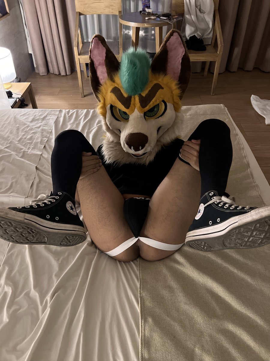 Nokkotoro tweet media