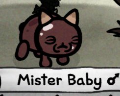 audio 🎁 tweet media