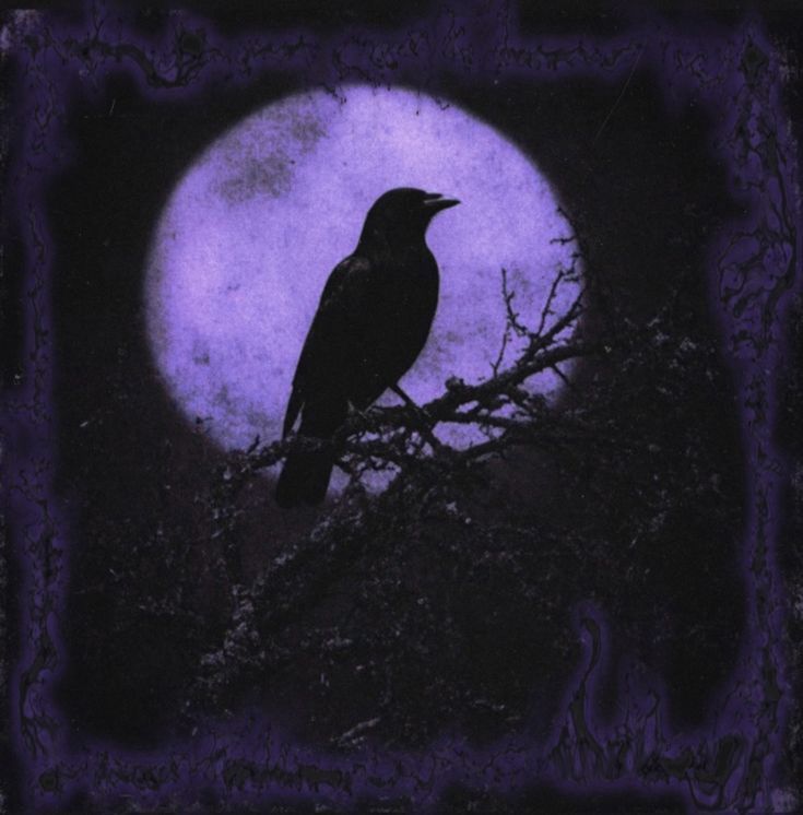 𝙇𝙪𝙘𝙖𝙨🪞 tweet media