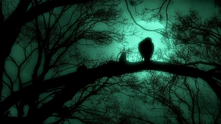 𝙇𝙪𝙘𝙖𝙨🪞 tweet media