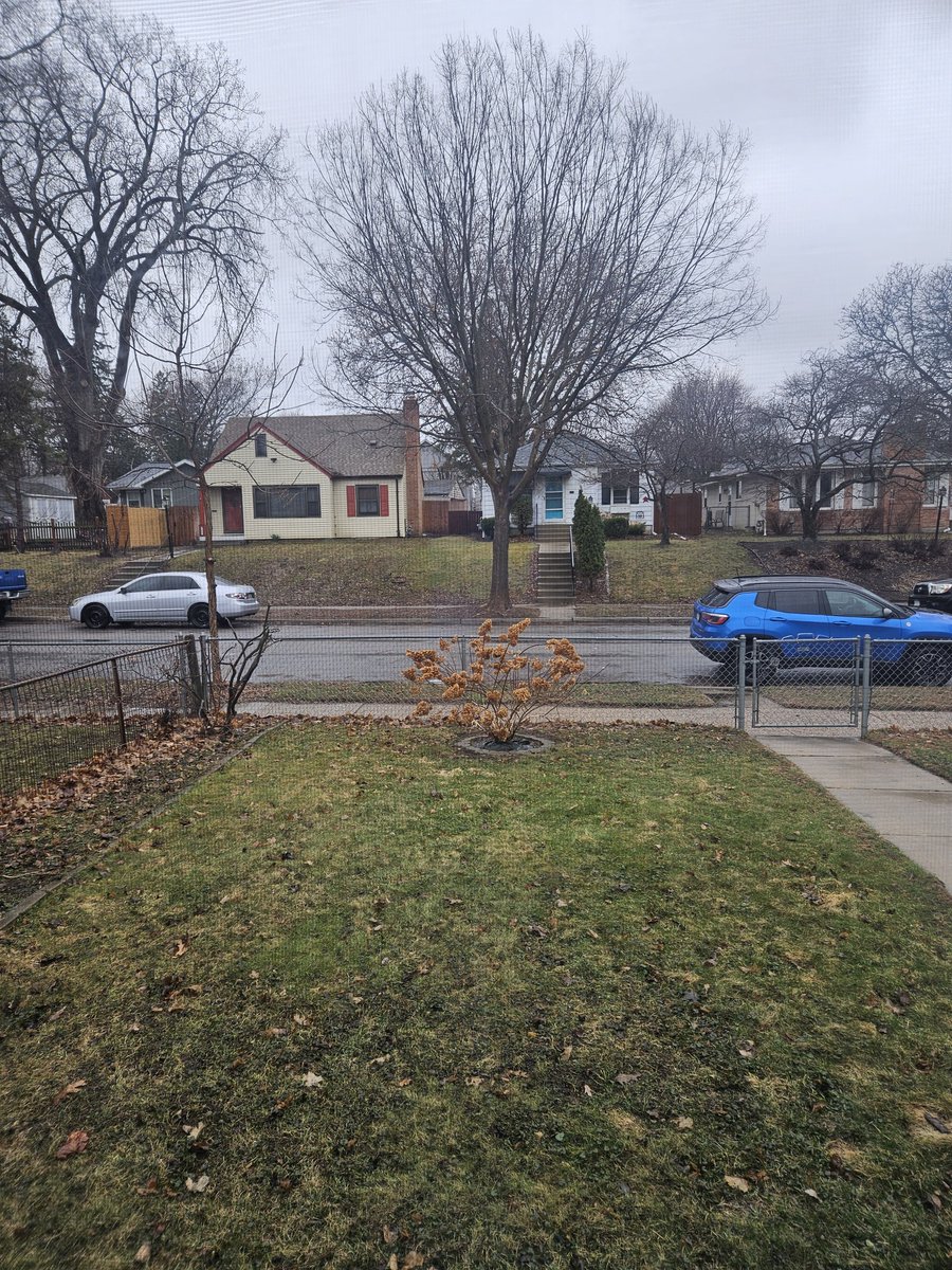 Dana Wessel tweet media