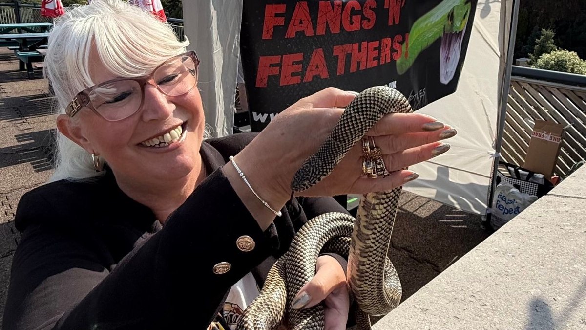 Model Village, Devon tweet media