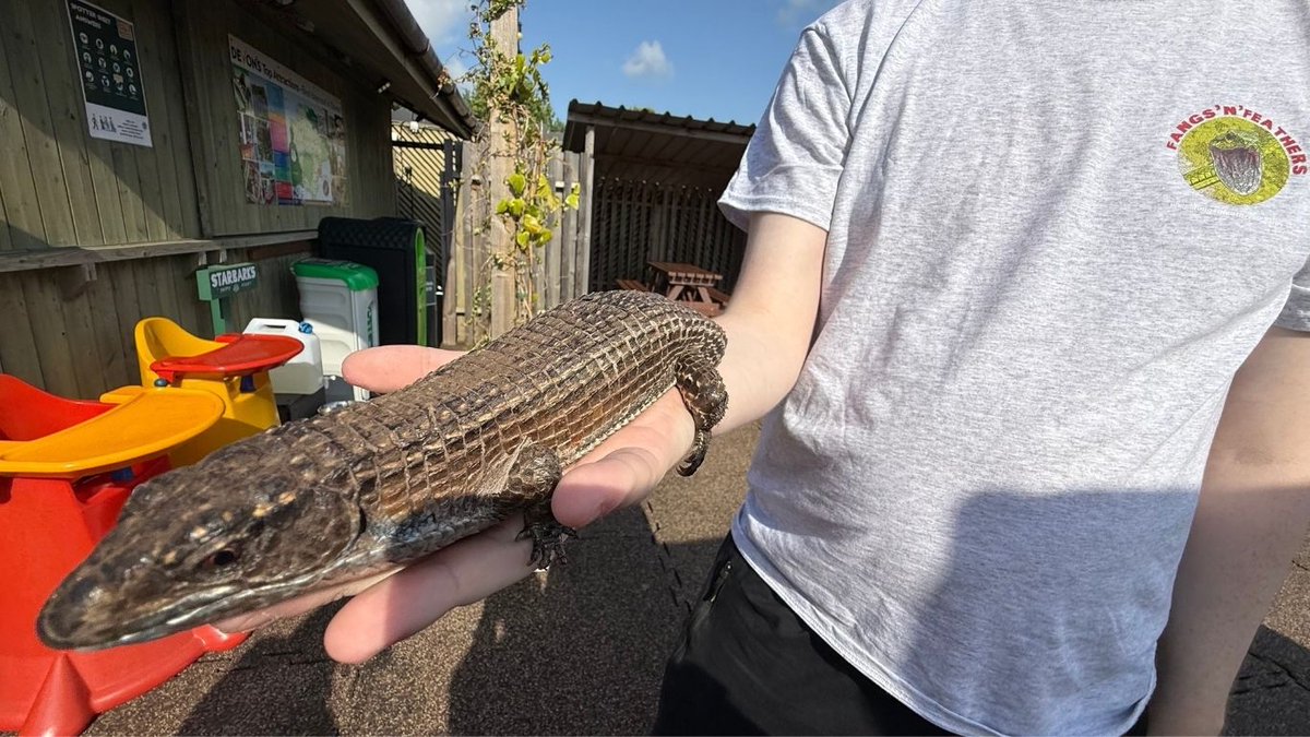 Model Village, Devon tweet media