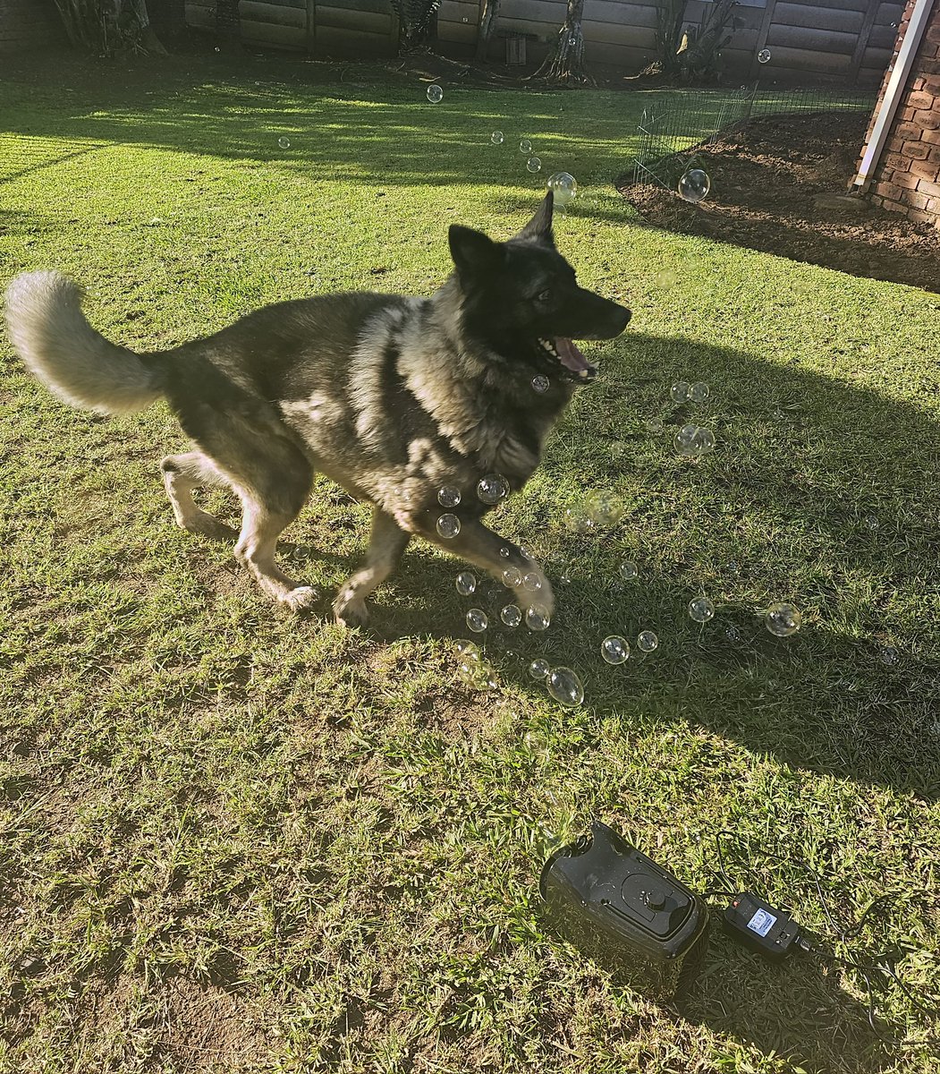 C-MAC Daddy tweet media