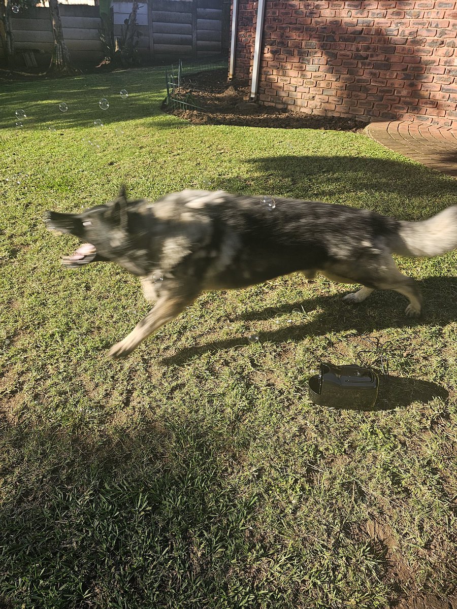 C-MAC Daddy tweet media