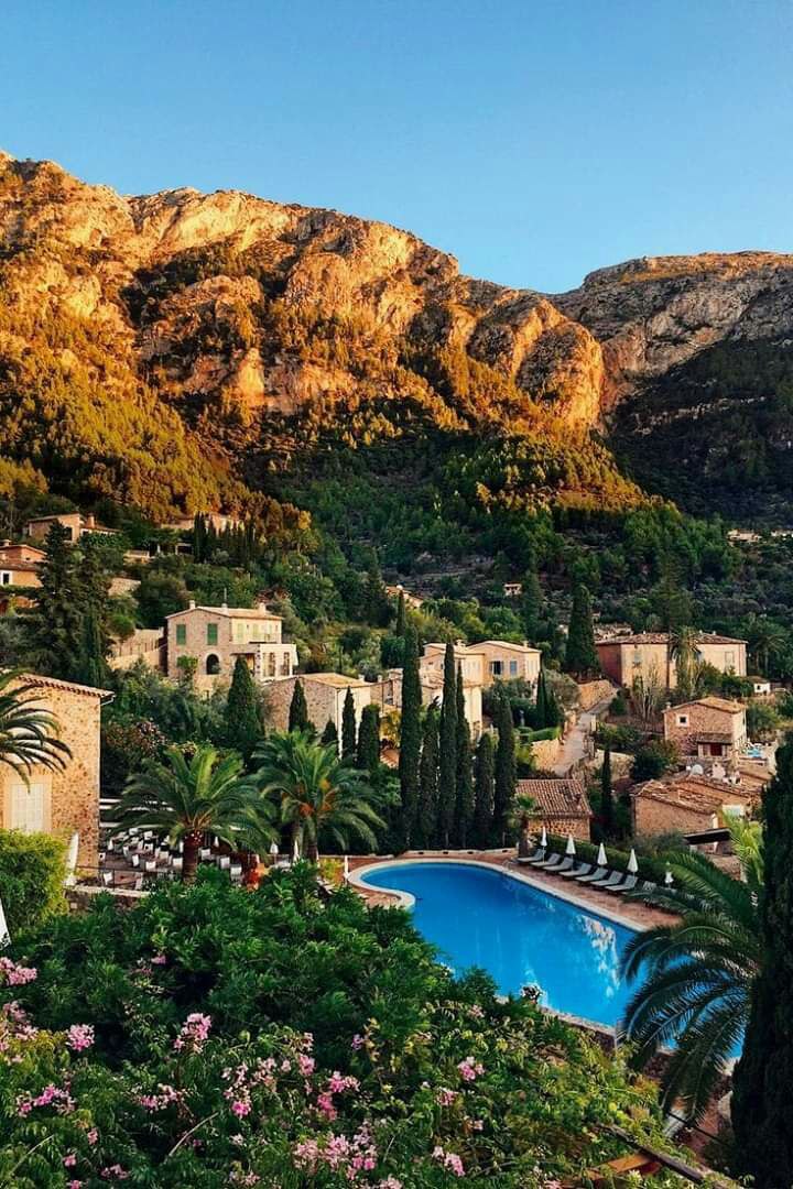 لمحات تاريخية tweet media