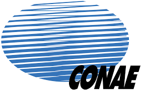 Nora Bär tweet media