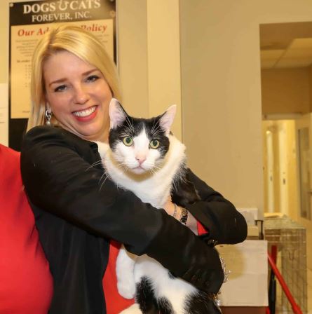 The Spirit of Lorenzo the Cat tweet media