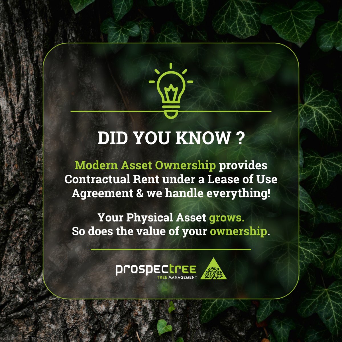 The Long-Term Value of Physical Assets 🌳
A tree is a long-term Physical Asset. With Modern Asset Ownership, you own the trees and we handle everything regarding daily operations.

What you get:
✅ Contractual Rent as defined in the Lease Agreement.
✅ A compelling living asset