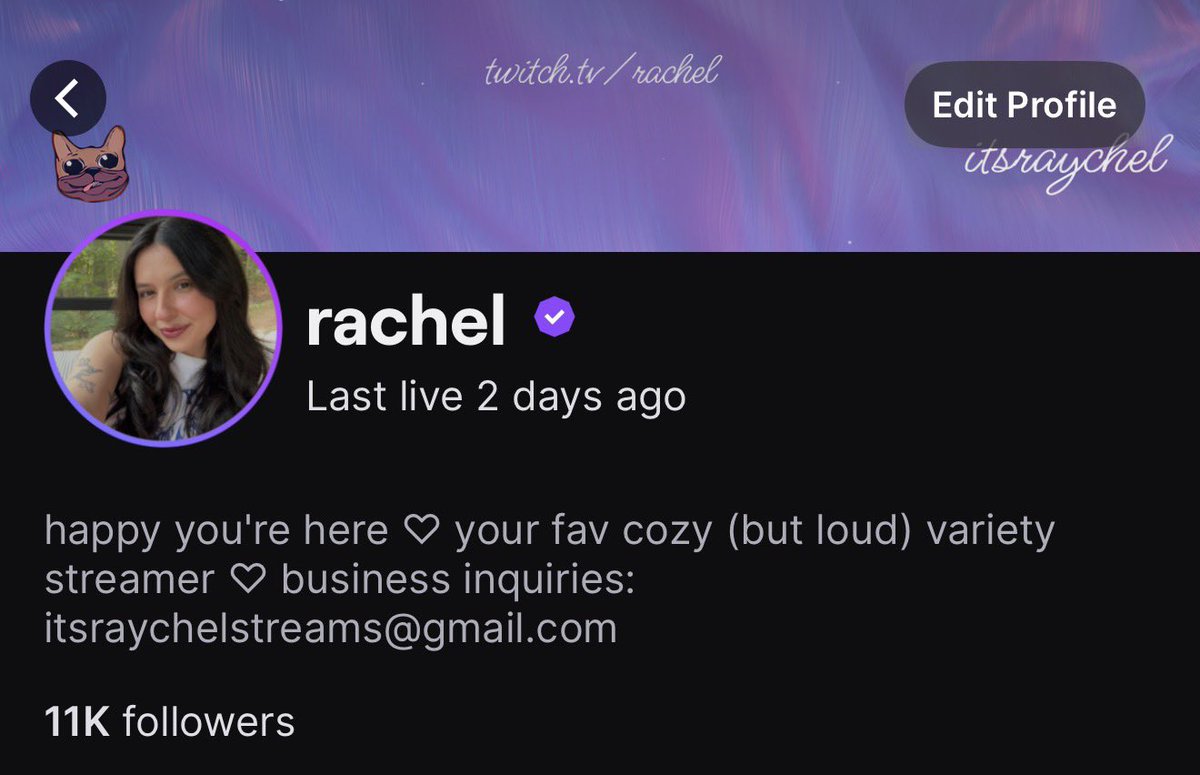 itsraychel tweet media