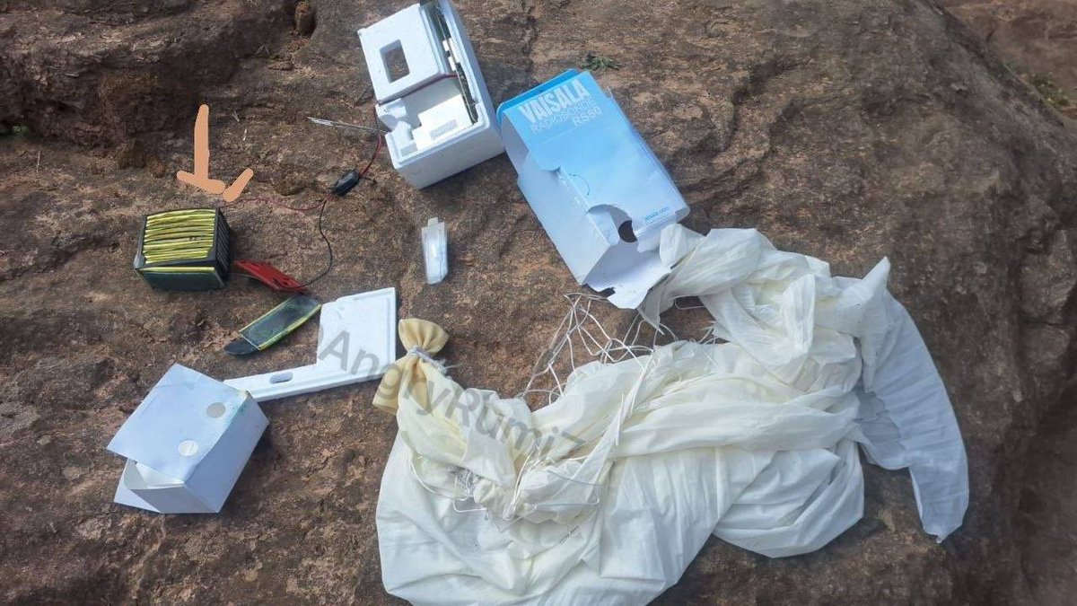 AngryRumi🐤 tweet media