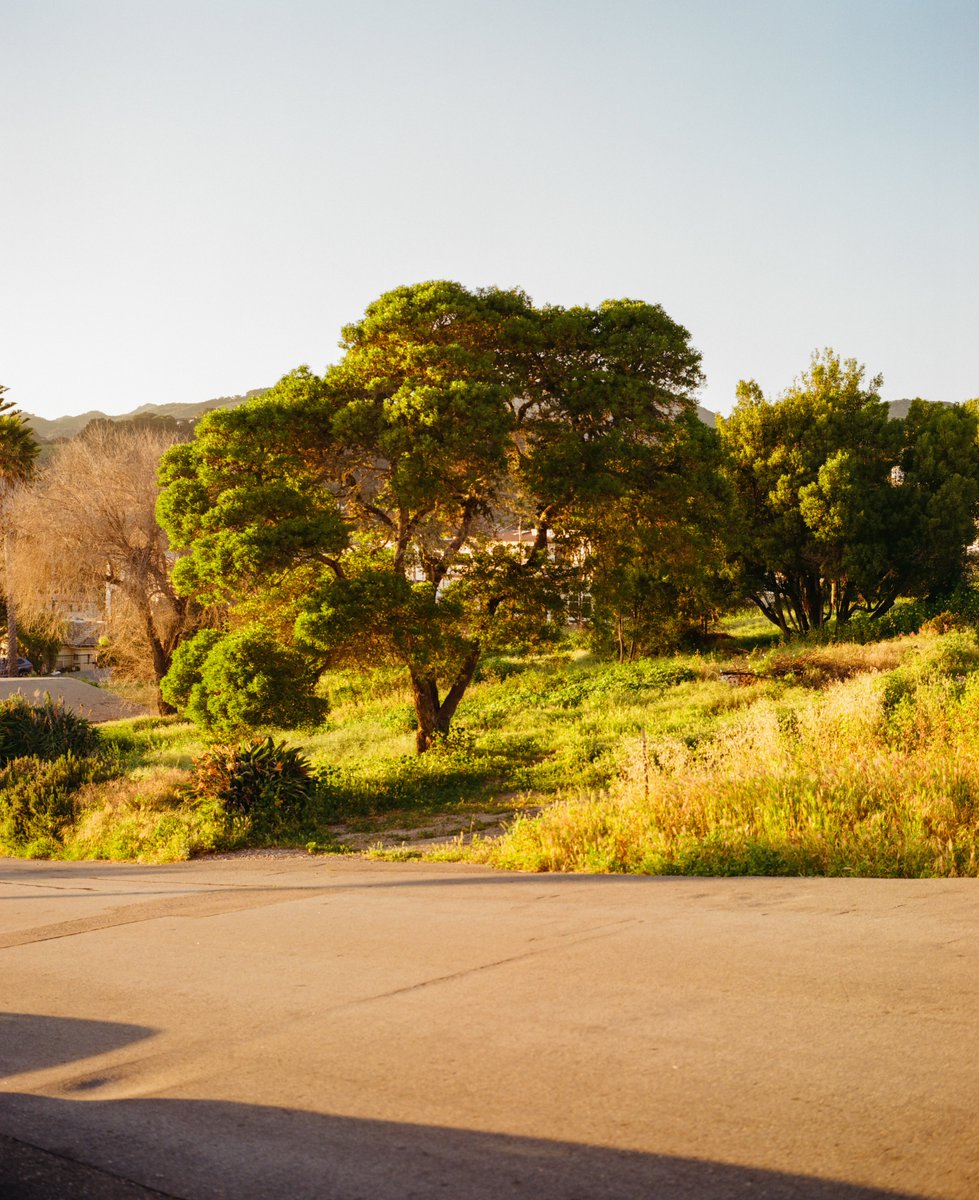 Ryan Warner tweet media