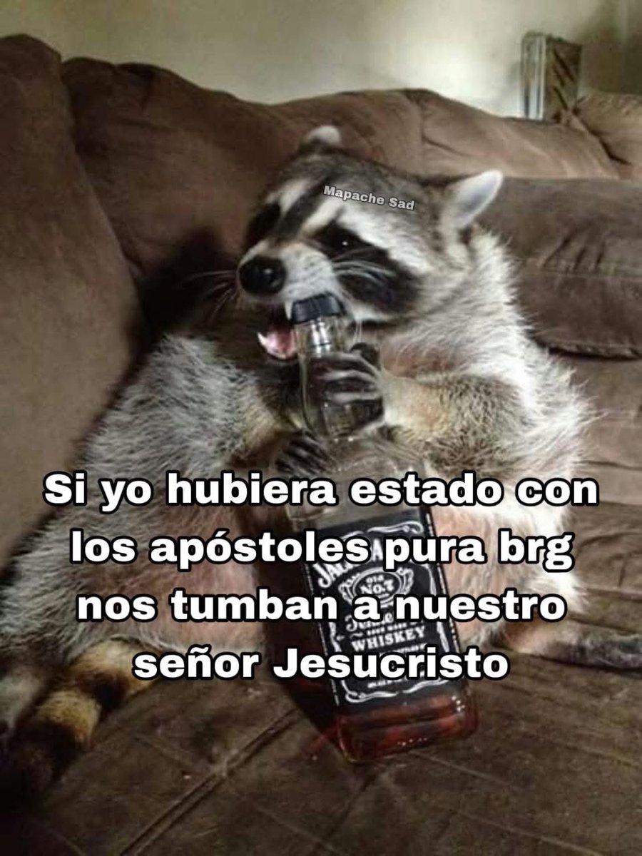 Luis Fer tweet media