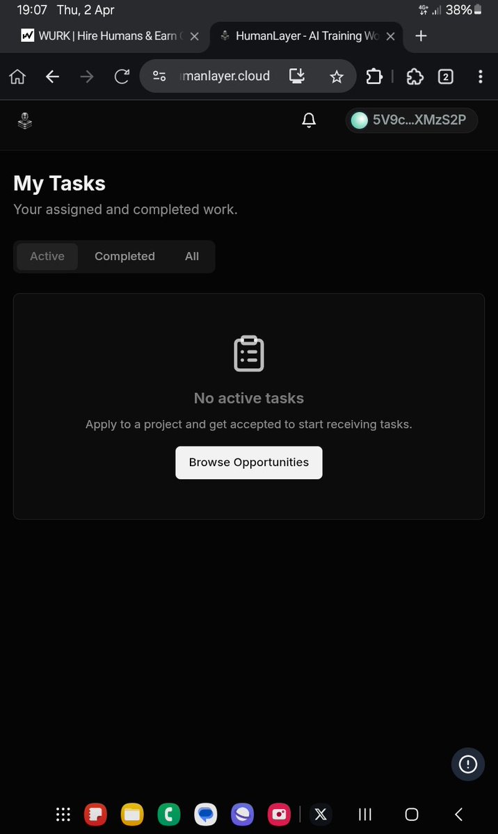 SHED📊🦕. tweet media