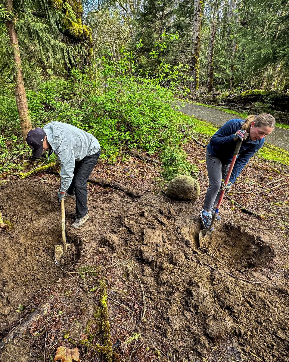 Arbor Day Foundation tweet media