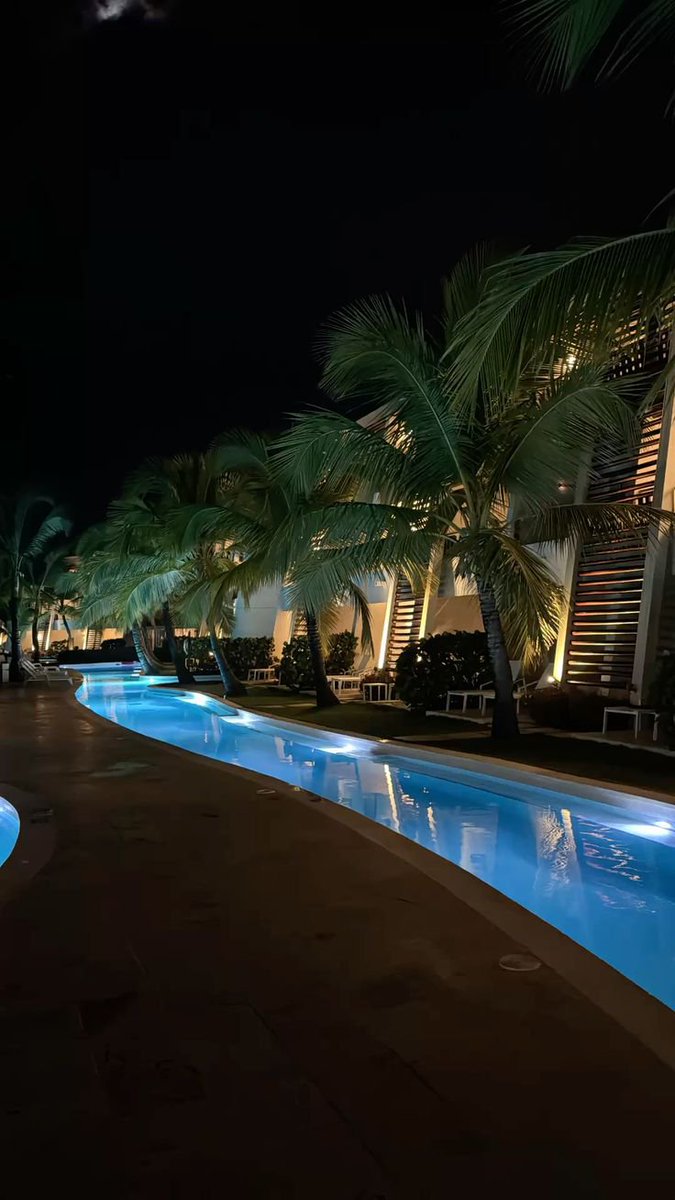 Bitcoin Ape tweet media