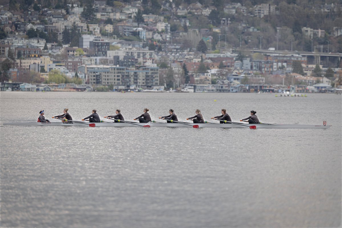 SPU Rowing tweet media