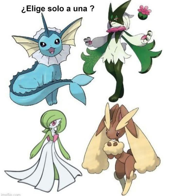 Kimu 🐱🌿 tweet media