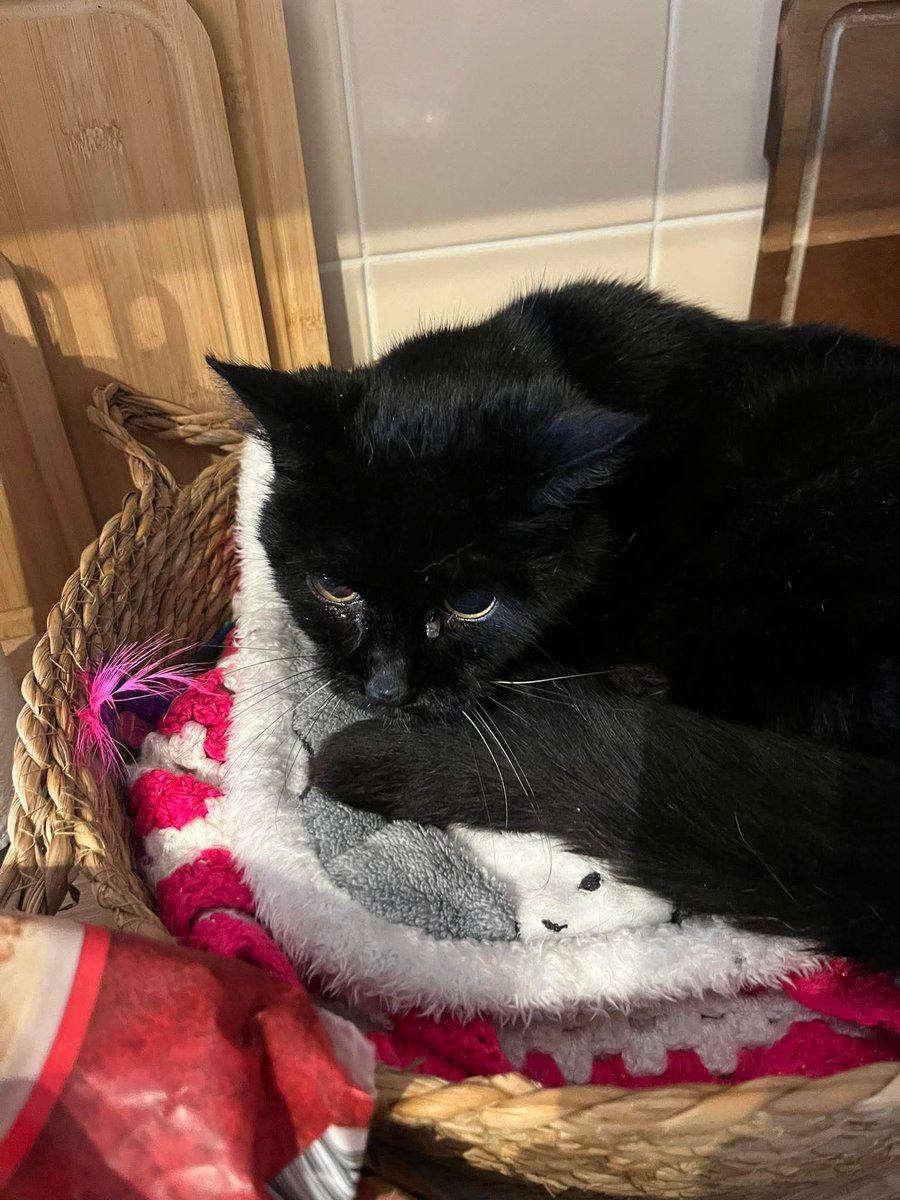 Mary 🕊️ tweet media