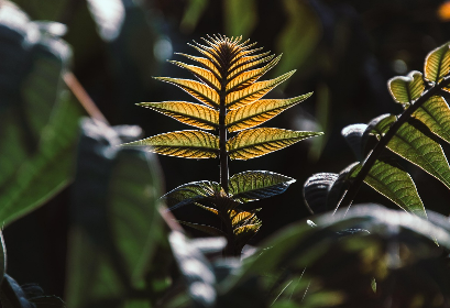 I AM TAKING CHARGE™ tweet media