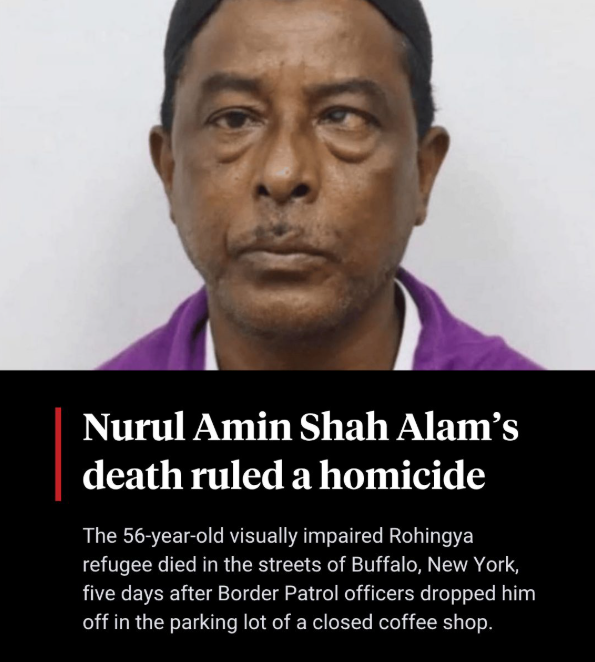 ✦✦✦ 𝙿𝚊𝚖𝚙𝚑𝚕𝚎𝚝𝚜 ✦✦✦ tweet media