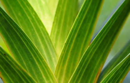 I AM TAKING CHARGE™ tweet media