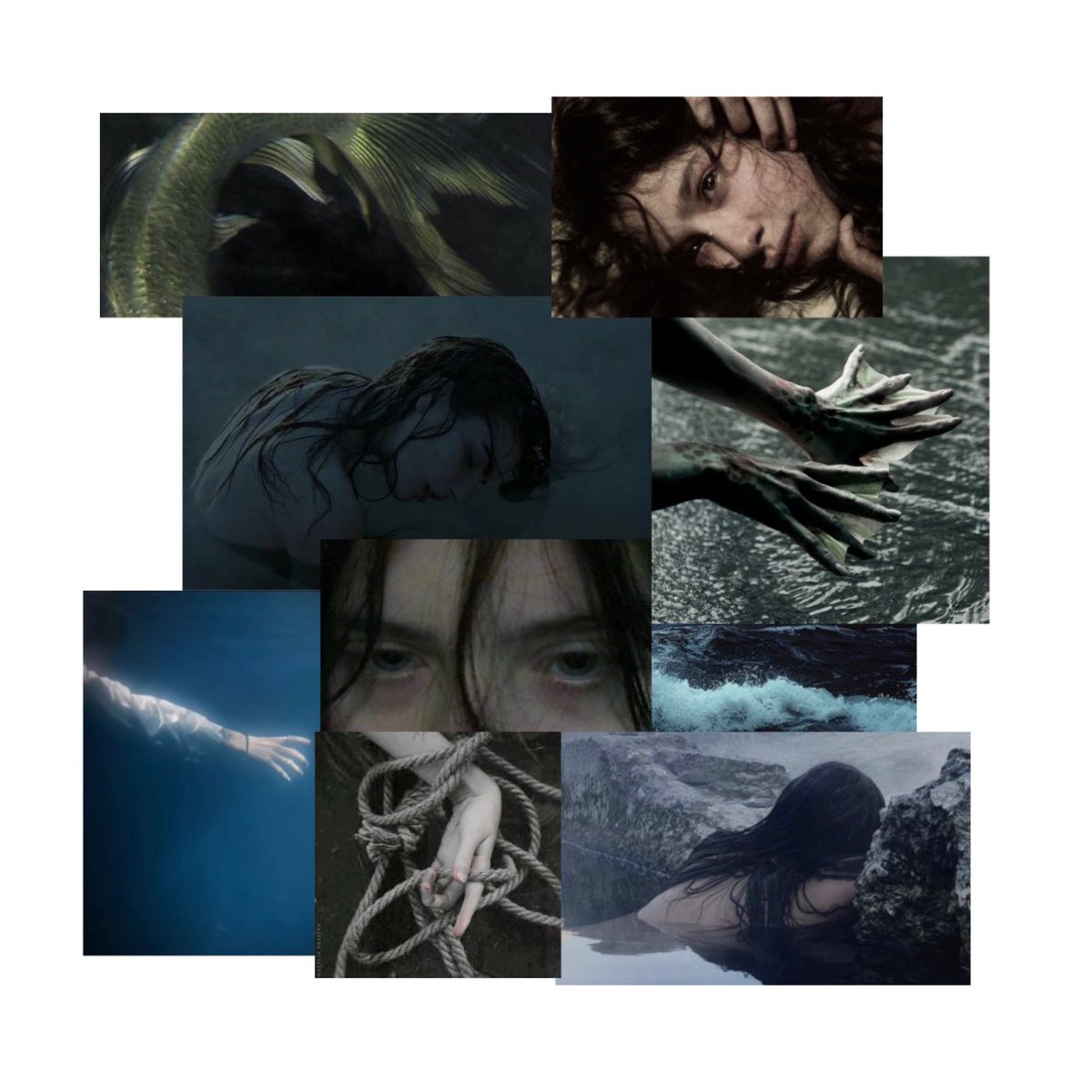 lina ✧ tweet media