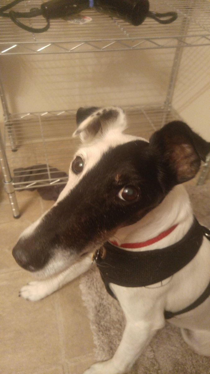 Corrupted Slugman tweet media