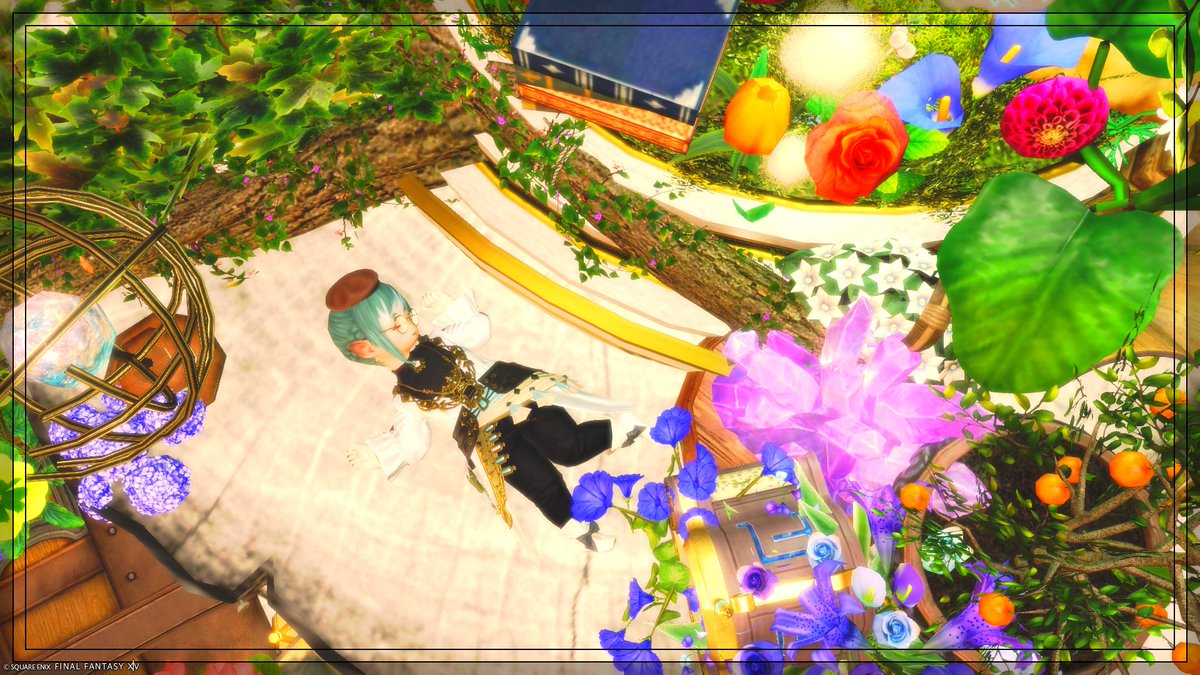 八幡めんだこ🎩🐙蛸壺入りVTuber tweet media