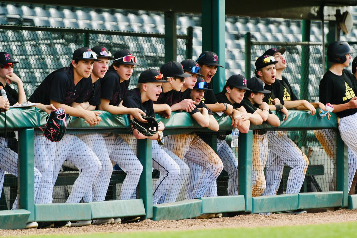 Dexter Dreadnaught Baseball tweet media