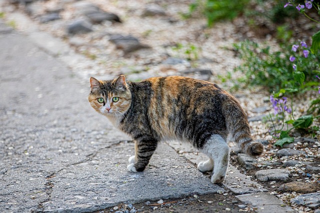 Ann Lawrence tweet media