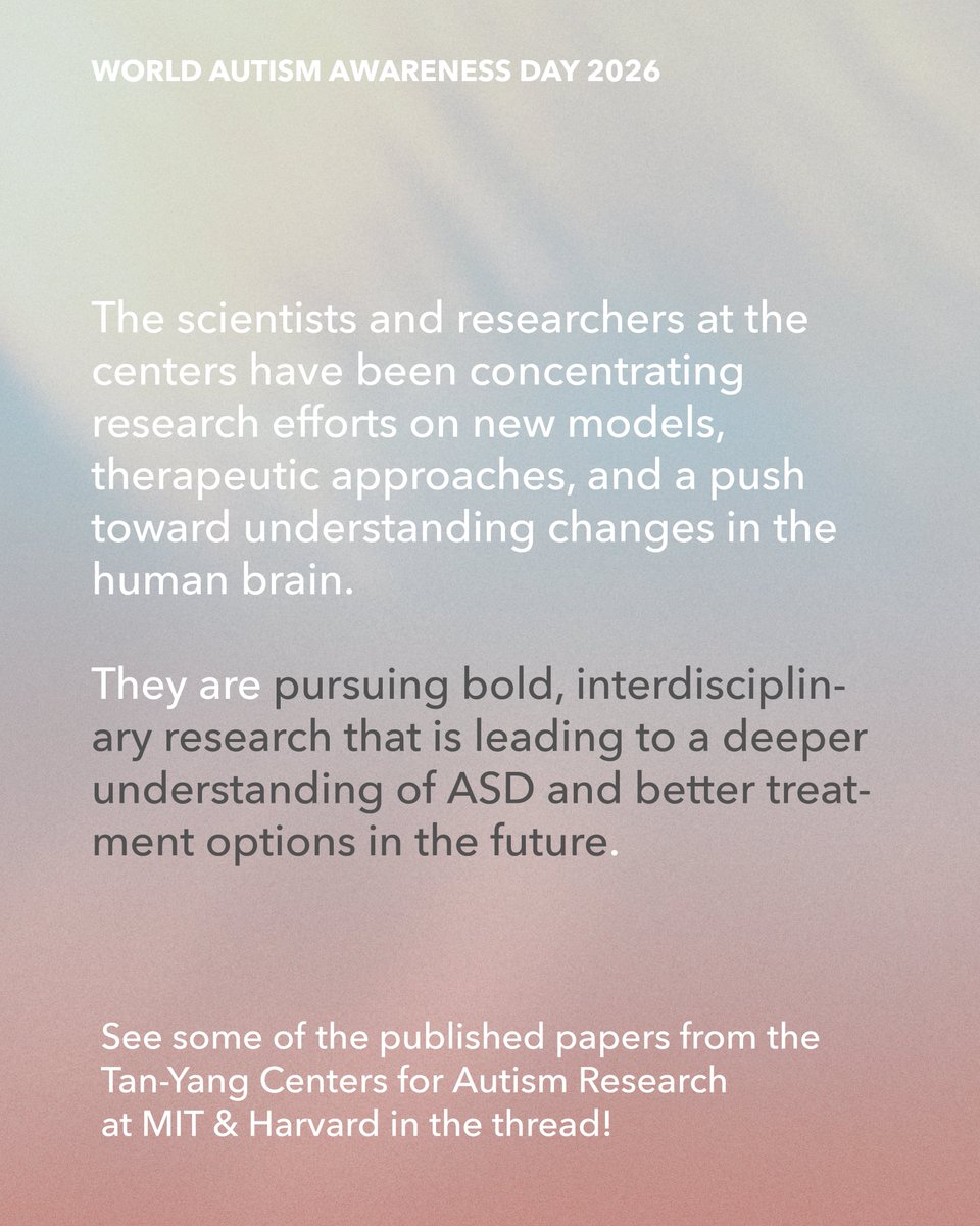 Yang Tan Collective tweet media